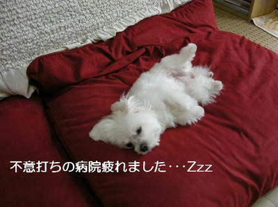 DSCN6277.JPG