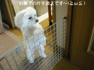 DSCN6240.JPG