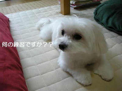 DSCN6244.JPG