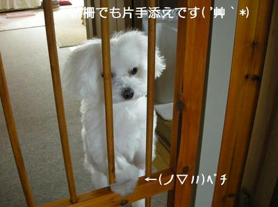 DSCN6262.JPG