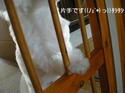 DSCN6265.JPG