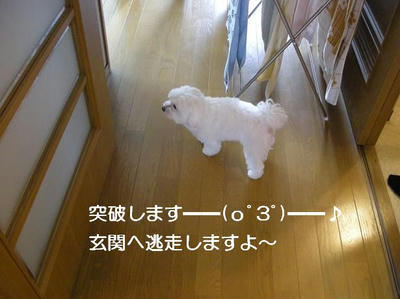 DSCN6344.JPG
