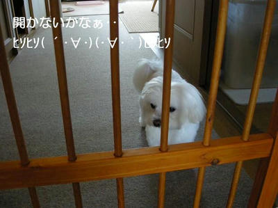 DSCN6350.JPG