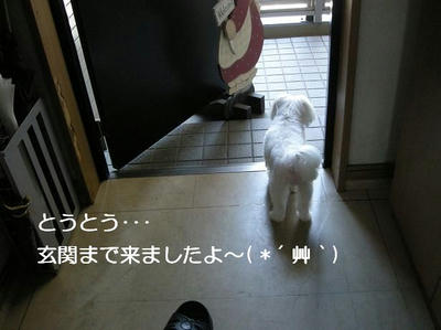DSCN6355.JPG