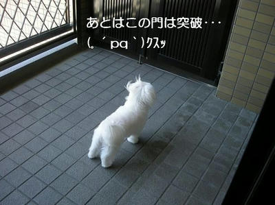 DSCN6359.JPG