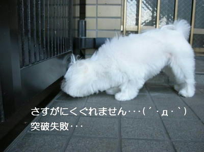 DSCN6384.JPG