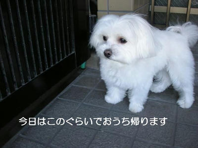 DSCN6385.JPG