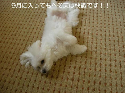 DSCN6307.JPG