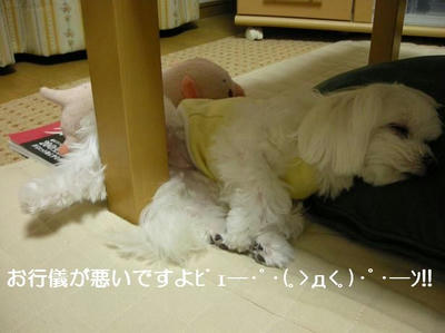 DSCN6333.JPG
