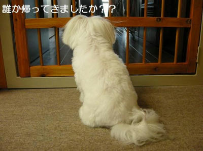 DSCN6319.JPG