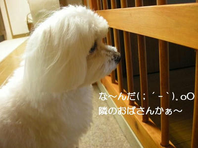 DSCN6324.JPG