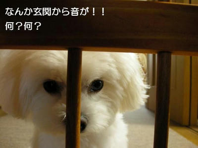 DSCN6327.JPG