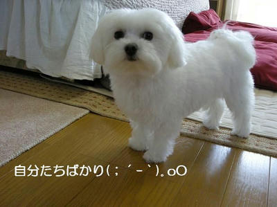 DSCN6402.JPG