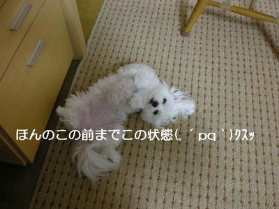 DSCN6406.JPG