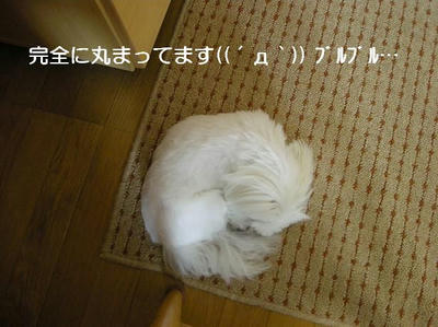 DSCN6436.JPG