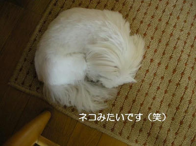DSCN6437.JPG