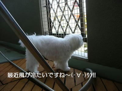 DSCN6422.JPG