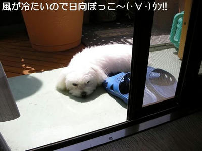 DSCN6424.JPG
