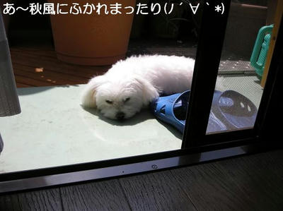DSCN6426.JPG