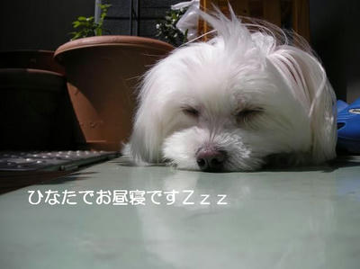 DSCN6434.JPG