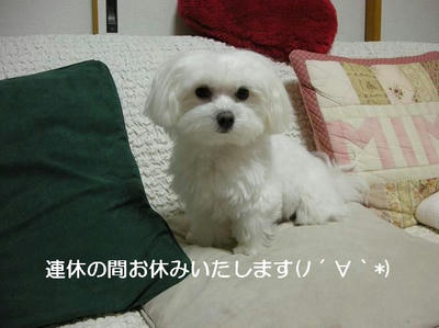 DSCN6415.JPG