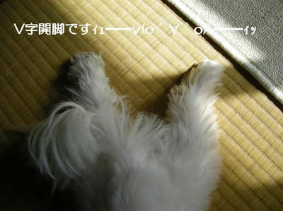 DSCN6443.JPG
