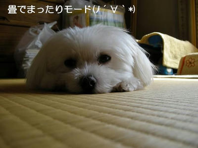 DSCN6444.JPG