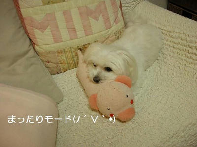 DSCN6447.JPG