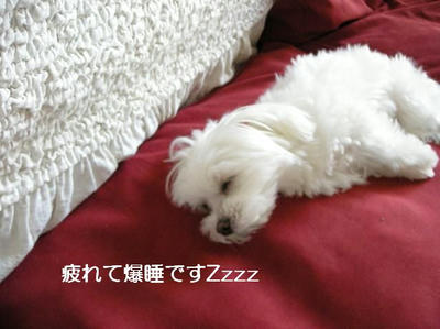 DSCN6505.JPG