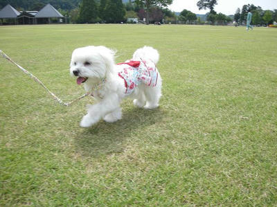 DSCN6469.JPG