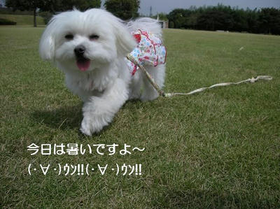 DSCN6499.JPG