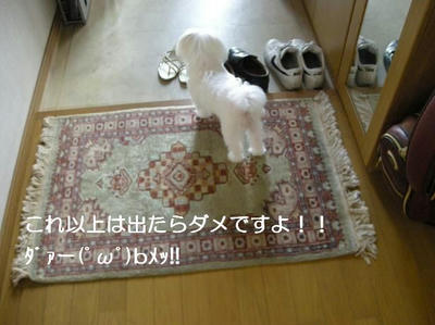 DSCN6339.JPG