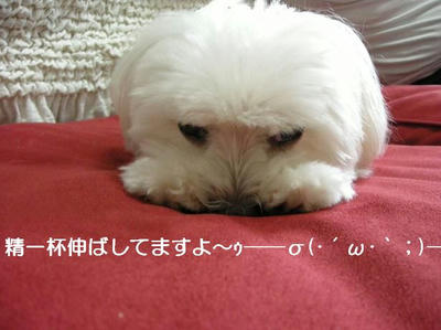 DSCN6848.JPG