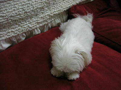 DSCN6849.JPG