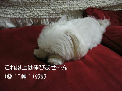 DSCN6852.JPG