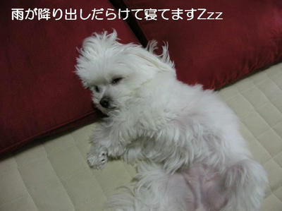 DSCN6847.JPG