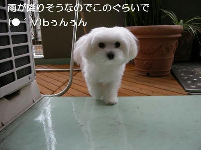 DSCN6856.JPG