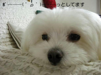 DSCN6867.JPG