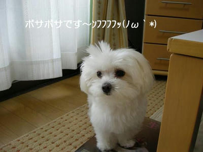 DSCN6869.JPG