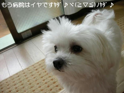 DSCN6871.JPG