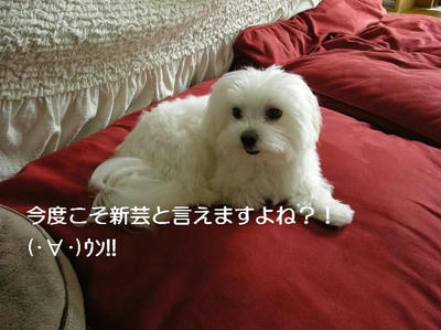 DSCN6842.JPG