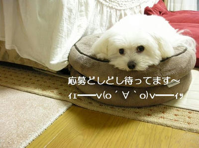 DSCN6889.JPG