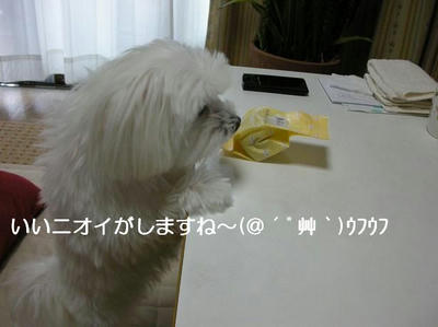 DSCN6961.JPG