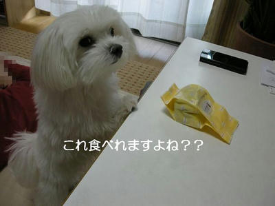 DSCN6964.JPG