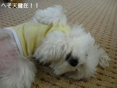 DSCN6941.JPG