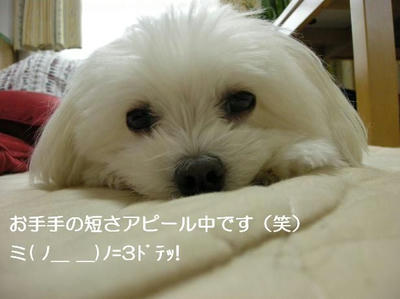 DSCN6944.JPG