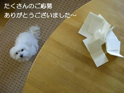 DSCN6981.JPG