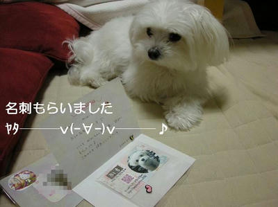 DSCN7018.JPG