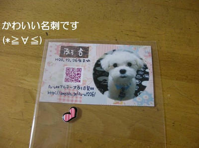 DSCN7019.JPG
