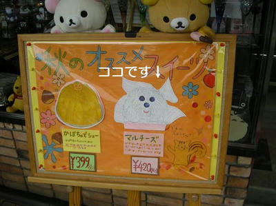 DSCN7038.JPG